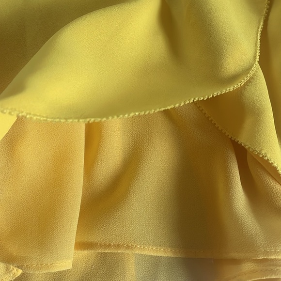 GoldRay Odelya Tulip Blouse - Size Small - Gorgeous color! - Picture 6 of 8